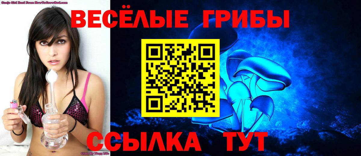 Буйнакск  Псилоцибиновые грибы прущие грибы  Вход с VPN 